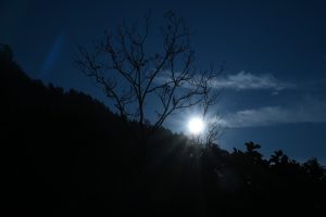 resort in nainital (17)