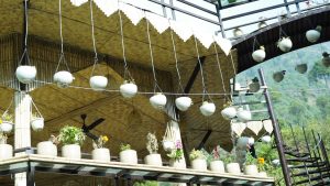 resort in nainital (20)