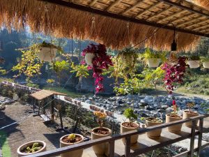 resort in nainital (21)