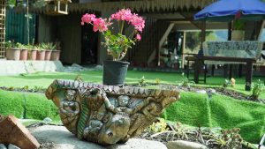 resort in nainital (22)